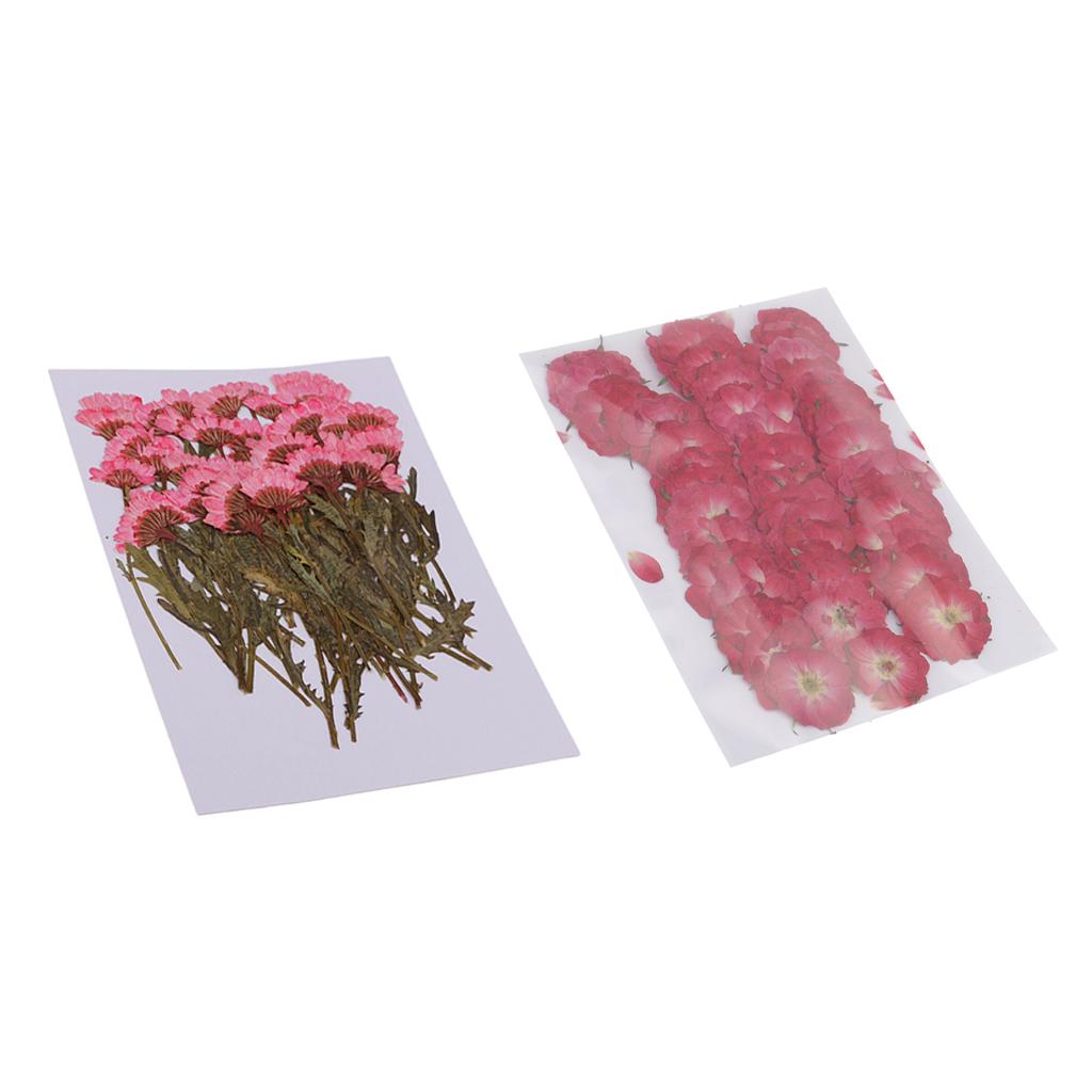 50x None Branch +50 Pcs Branched Pressed Dried Flowers DIY Embossed Flowers