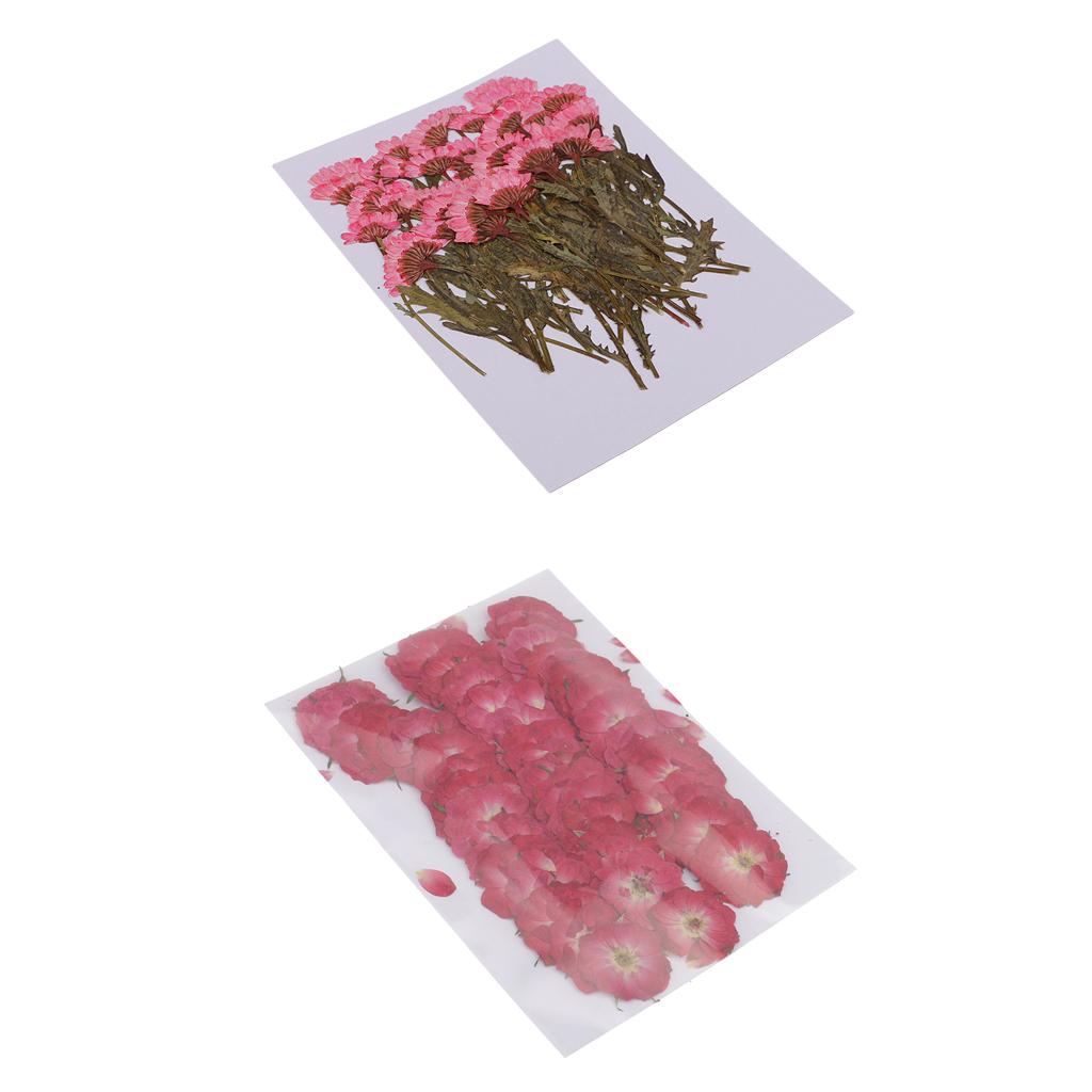 50x None Branch +50 Pcs Branched Pressed Dried Flowers DIY Embossed Flowers