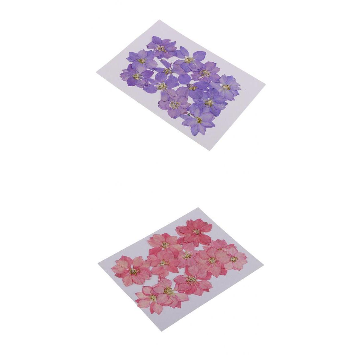 24 Pcs Pressed Flowers Dried Larkspur Decorative Dried Flowers Pink, Purple