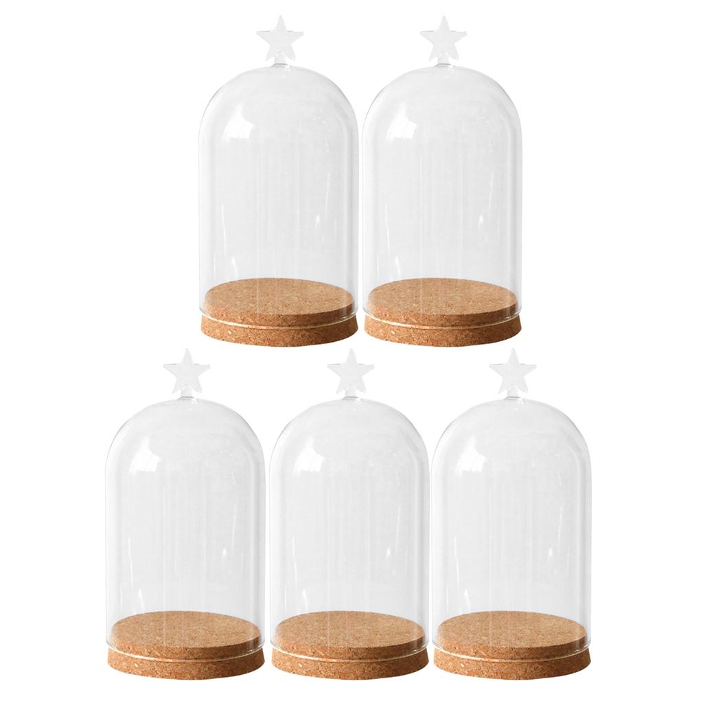5x Clear Glass Bell Cover Pot Landscape Terrarium Container Lid Vase Bottle