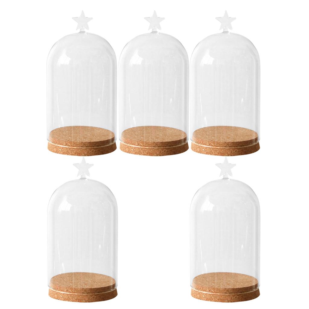 5x Clear Glass Bell Cover Pot Landscape Terrarium Container Lid Vase Bottle