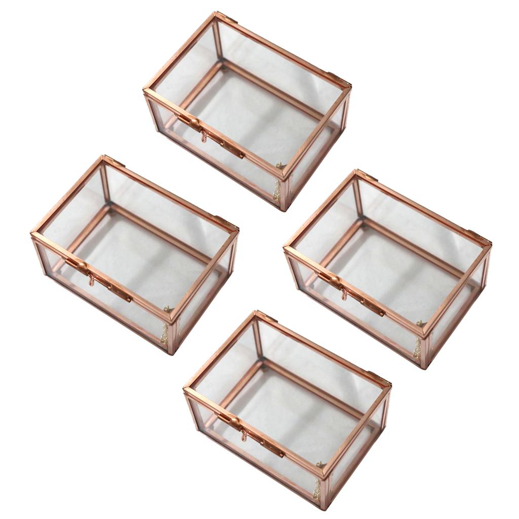 4 Pieces Glass Geometric Terrarium Succulent Air Plants Container Planter