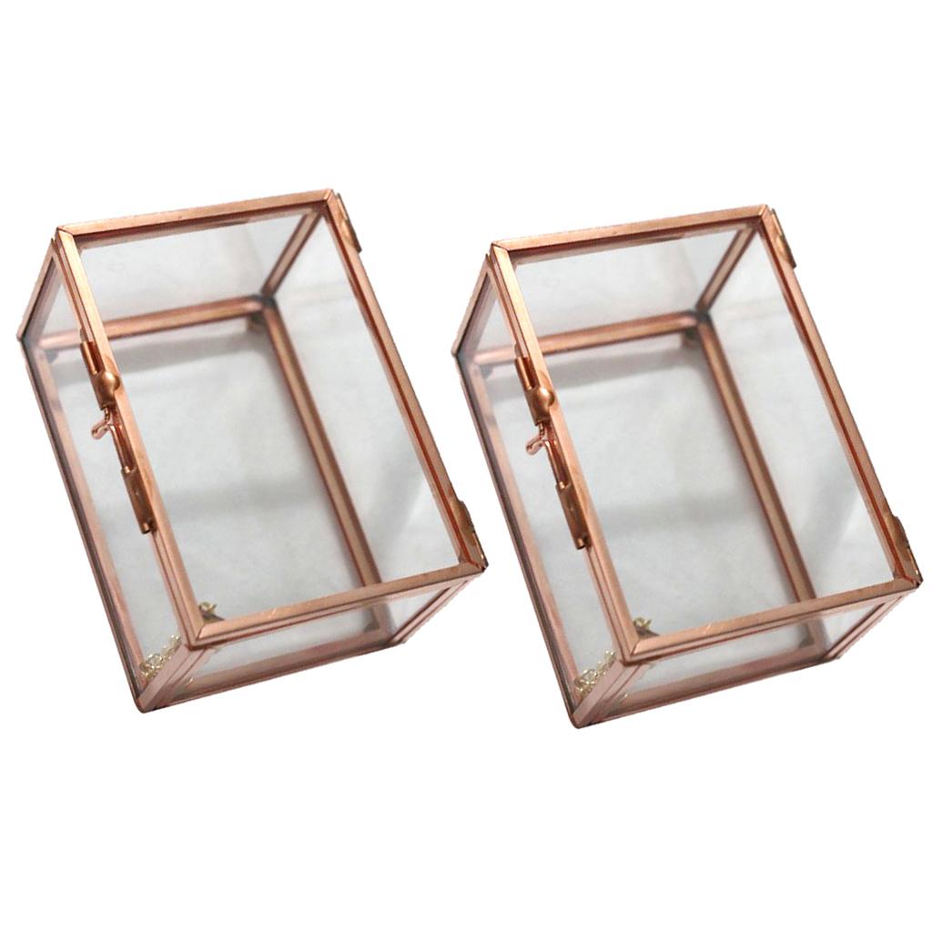 2 Pieces Glass Geometric Terrarium Succulent Air Plants Container Planter