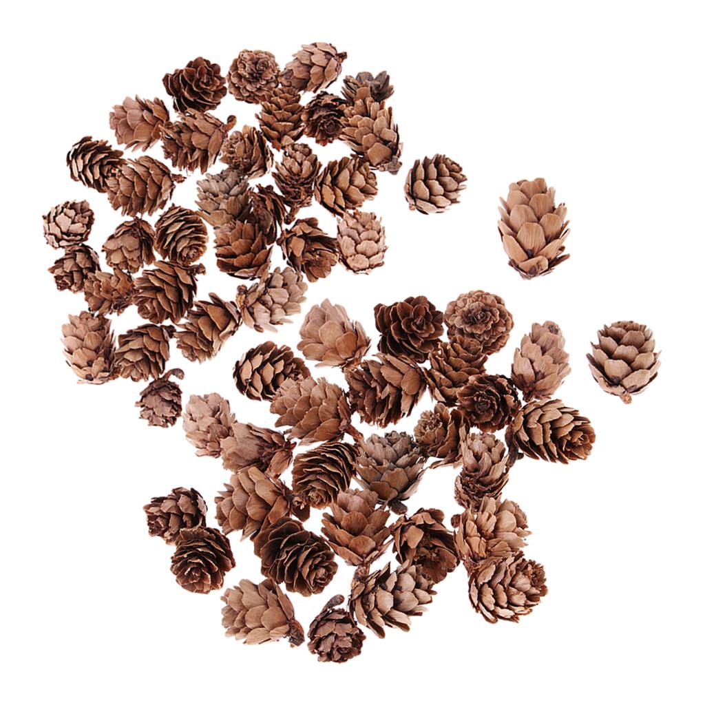 60 Pieces Mixed Natural Pine Cones Dried Table Ornament Home Decoration DIY