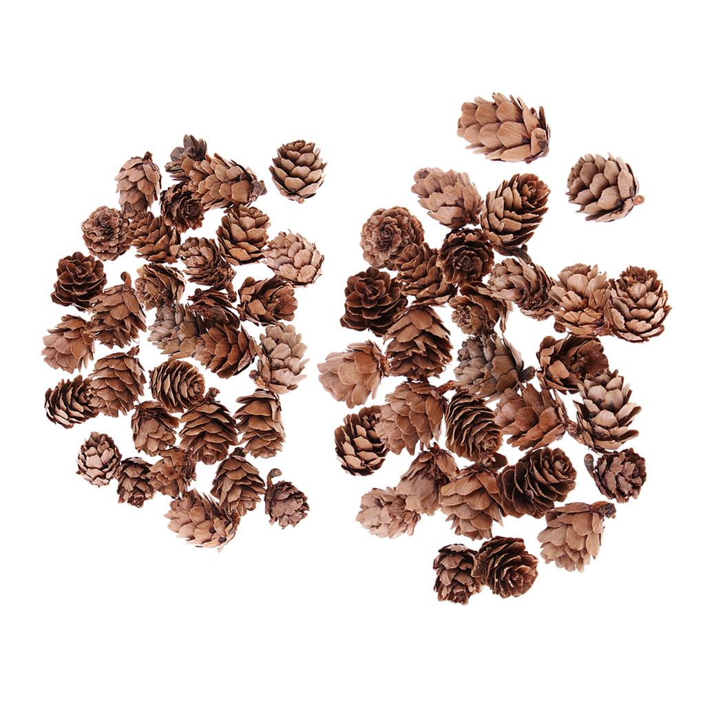 60 Pieces Mixed Natural Pine Cones Dried Table Ornament Home Decoration DIY