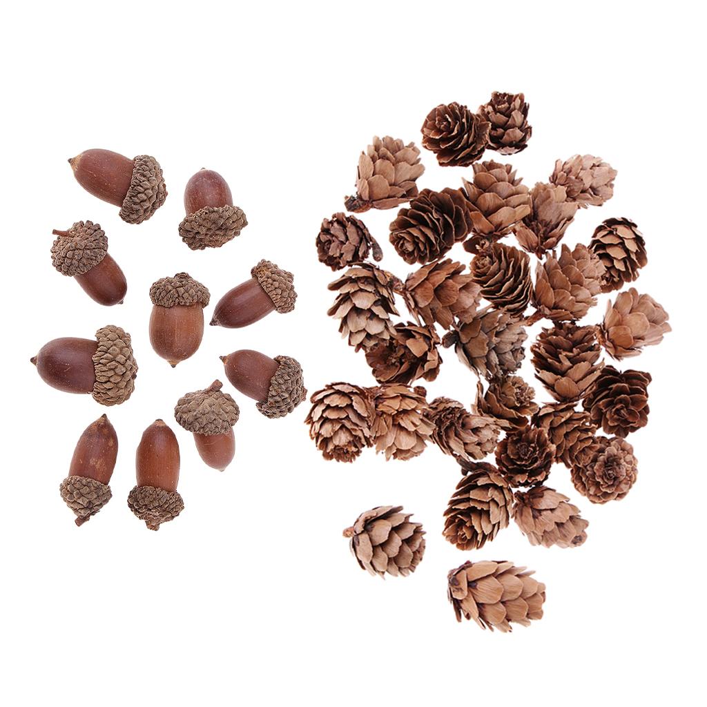 40 Pieces Natural Pine Cones Acorns Dried Table Ornament for Home Decoration