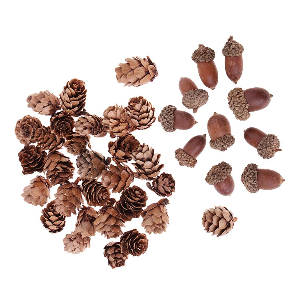 40 Pieces Natural Pine Cones Acorns Dried Table Ornament for Home Decoration