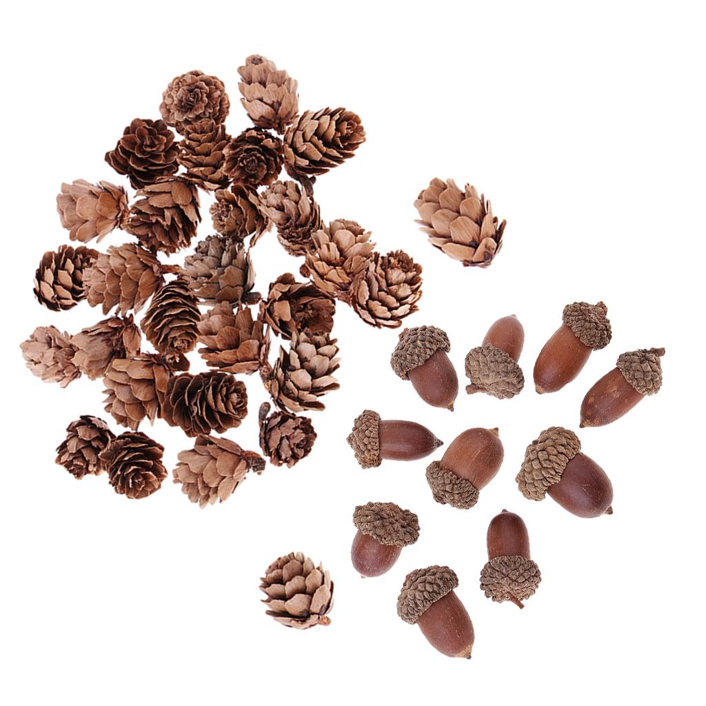 40 Pieces Natural Pine Cones Acorns Dried Table Ornament for Home Decoration