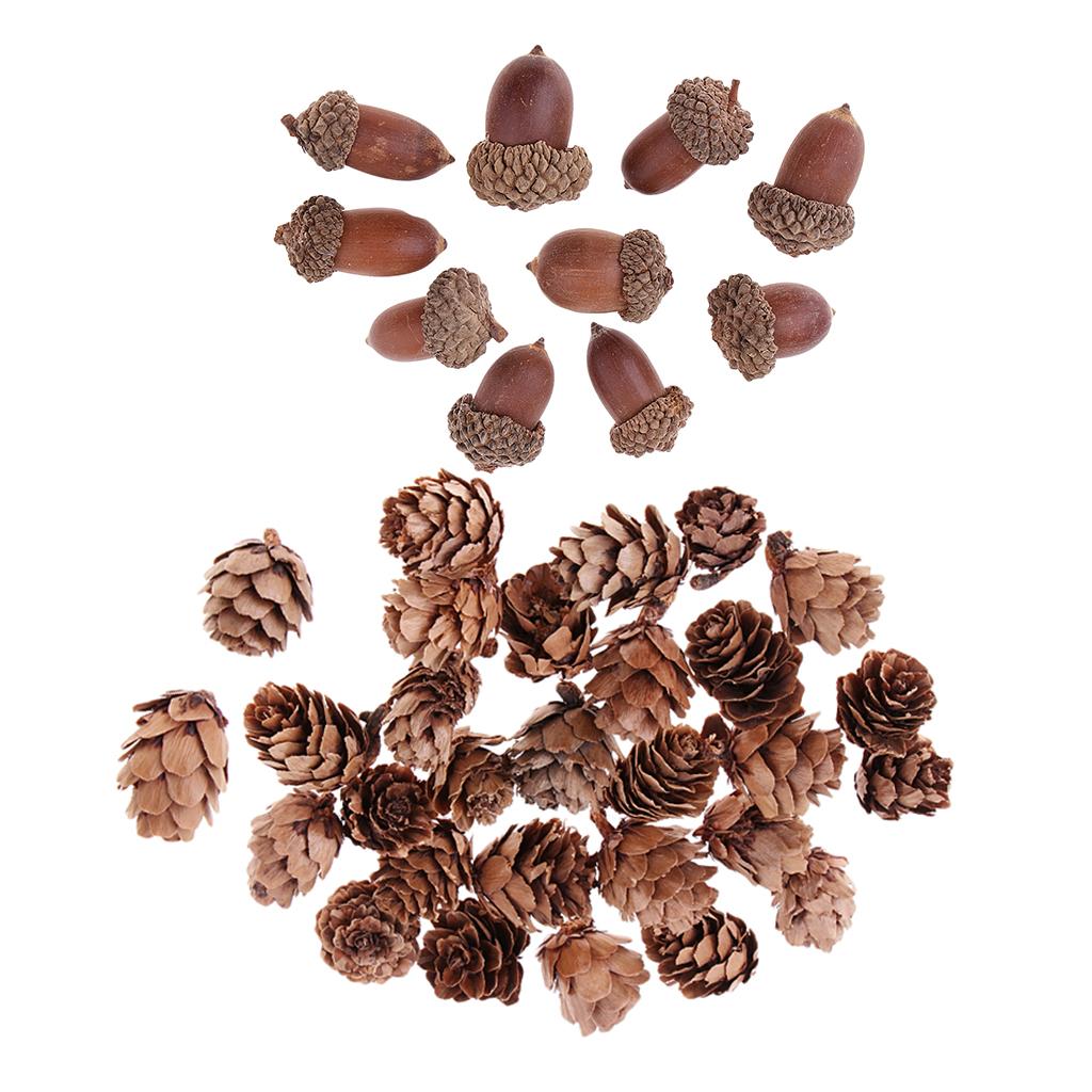 40 Pieces Natural Pine Cones Acorns Dried Table Ornament for Home Decoration