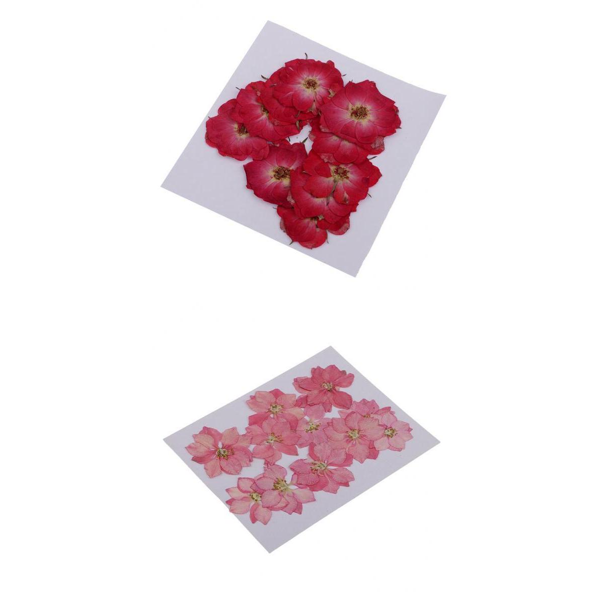 22 Pieces Natural Delphinium Rose Real Pressed Dried Flowers for DIY Craft