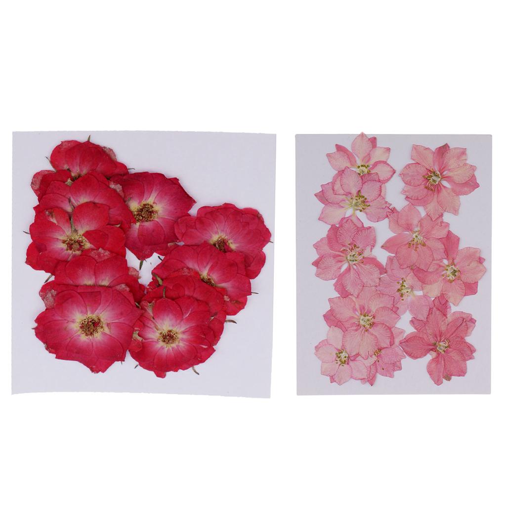 22 Pieces Natural Delphinium Rose Real Pressed Dried Flowers for DIY Craft