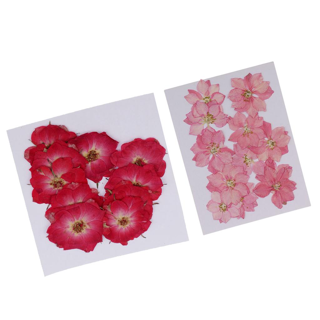 22 Pieces Natural Delphinium Rose Real Pressed Dried Flowers for DIY Craft