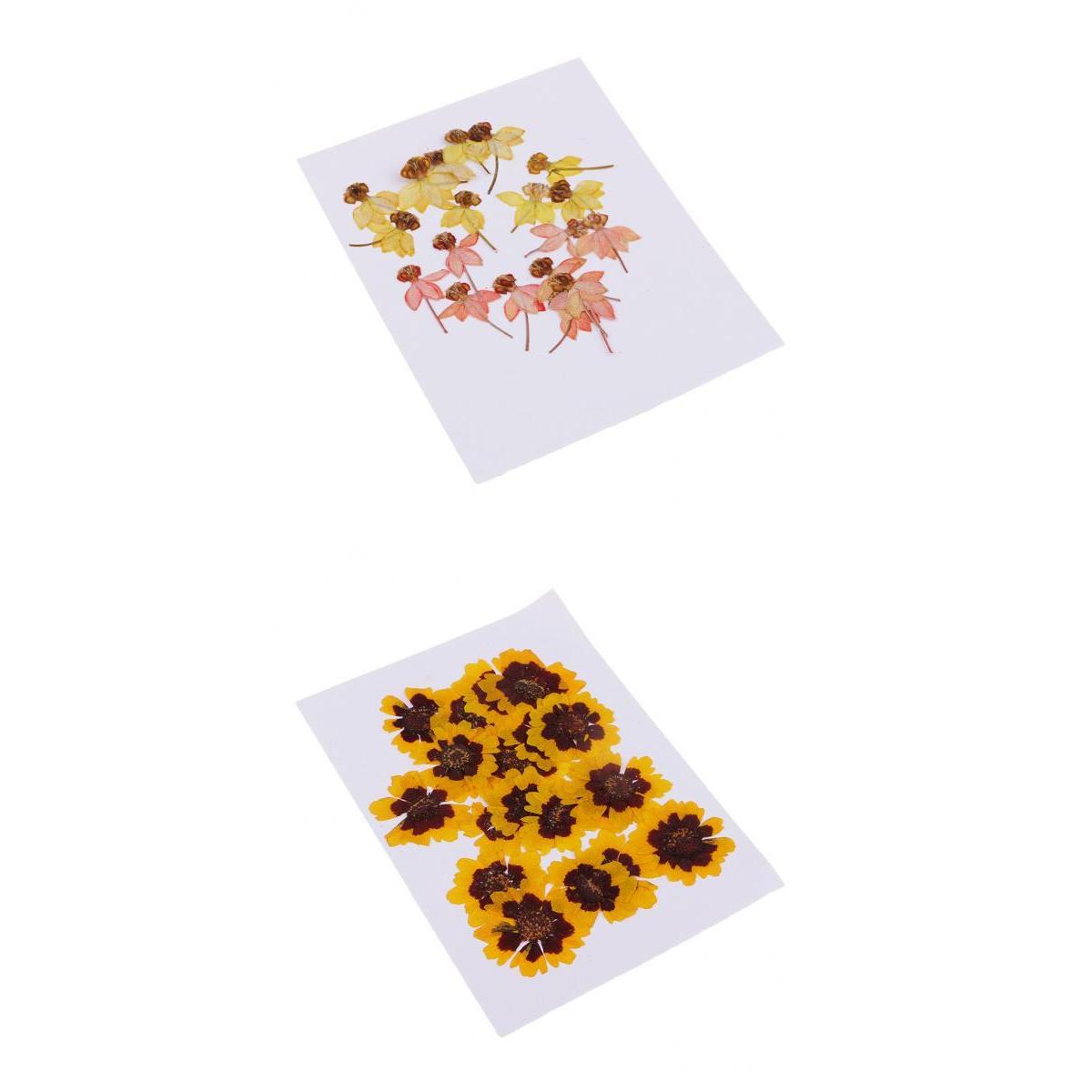 40 Pieces Real Pressed Dried Flowers DIY Art Crafts Scrapbooking Card Making