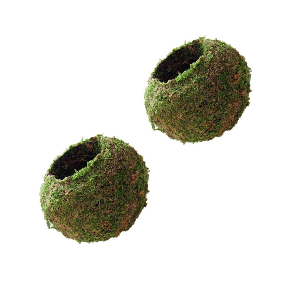 2 x Creative Moss Ball Flower Pot Planter Bonsai Plant Holder Garden Decor