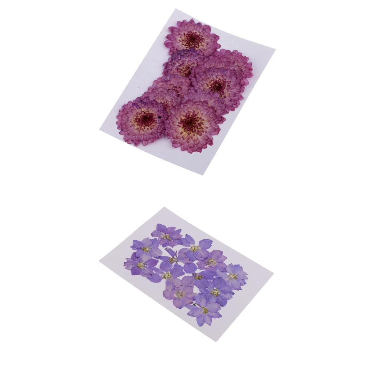 22 Natural Real Pressed Dried Flowers Daisy&Larkspur DIY Scrapbooking Crafts