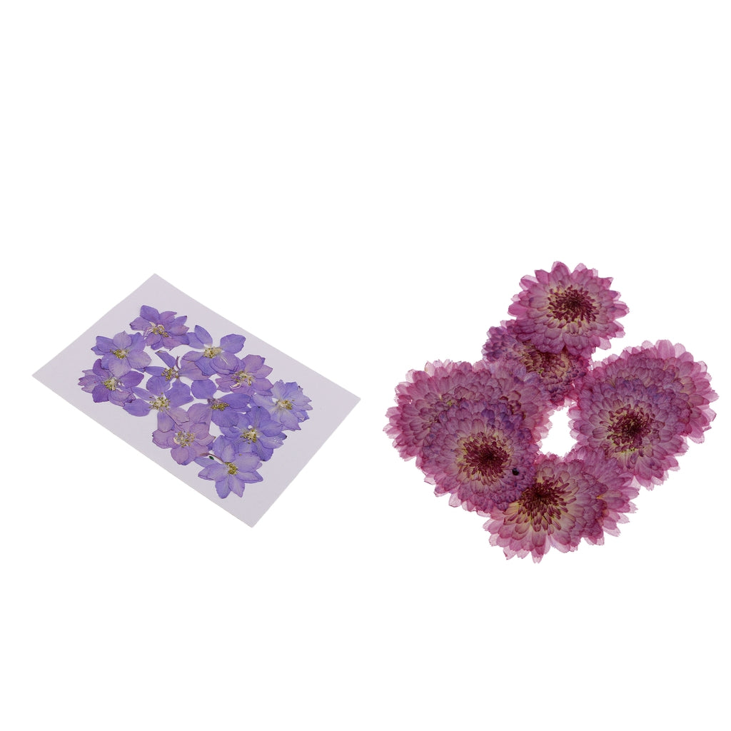 22 Natural Real Pressed Dried Flowers Daisy&Larkspur DIY Scrapbooking Crafts