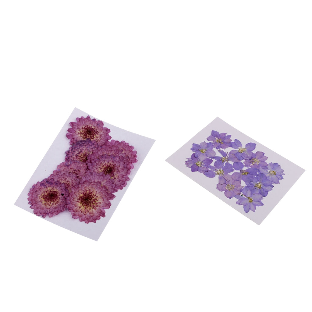 22 Natural Real Pressed Dried Flowers Daisy&Larkspur DIY Scrapbooking Crafts