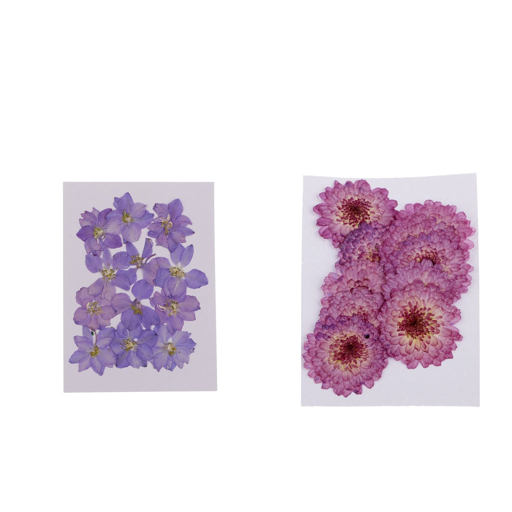 22 Natural Real Pressed Dried Flowers Daisy&Larkspur DIY Scrapbooking Crafts