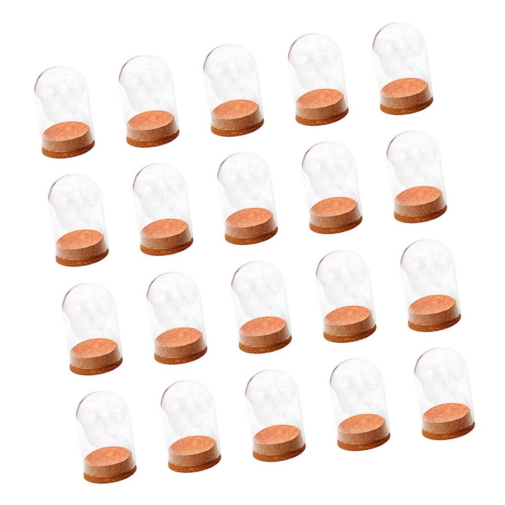 20x Mini Clear Glass Hemisphere Cover Dome with Wood Cork Table Decor Craft