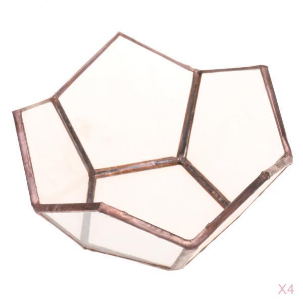 4 Piece Open Clear Glass Geometric Terrarium Table Succulent Plant Container