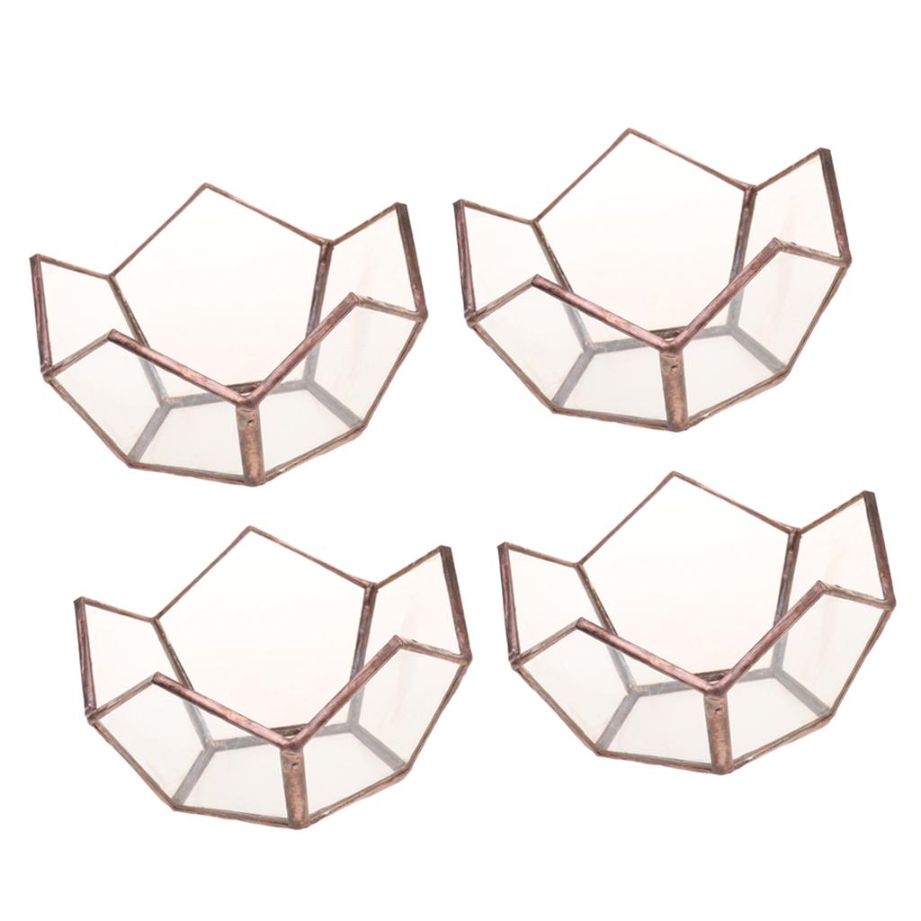 4 Piece Open Clear Glass Geometric Terrarium Table Succulent Plant Container