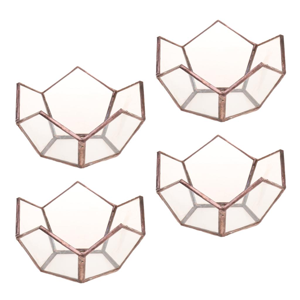 4 Piece Open Clear Glass Geometric Terrarium Table Succulent Plant Container