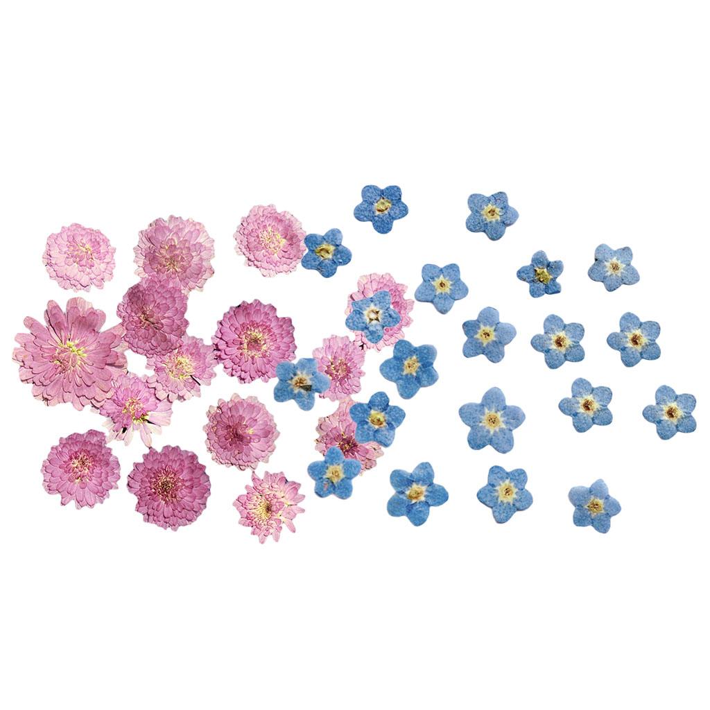 20Pcs Pressed Dried Flower Dry Leaves for DIY Crafts Bookmark Cards Making