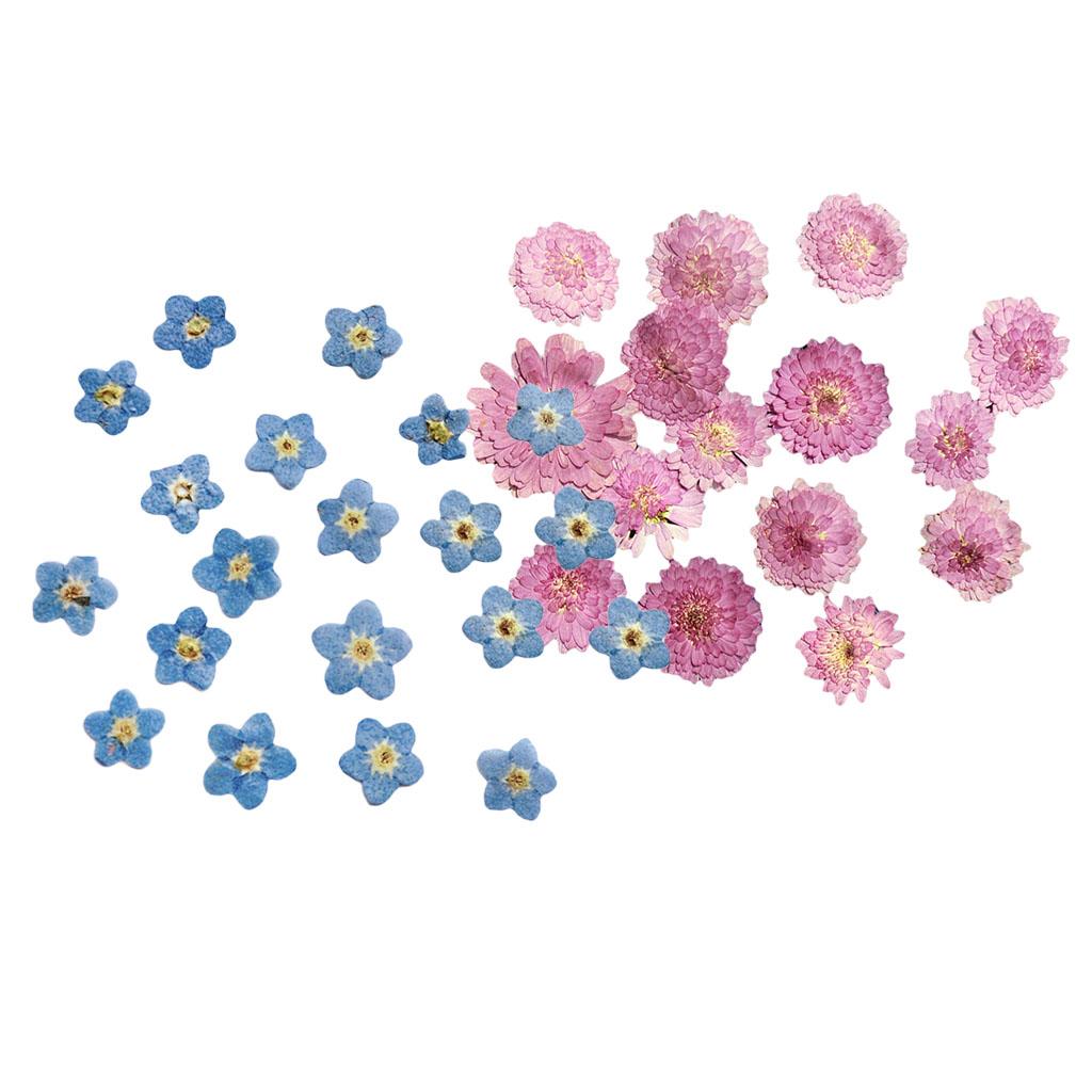 20Pcs Pressed Dried Flower Dry Leaves for DIY Crafts Bookmark Cards Making