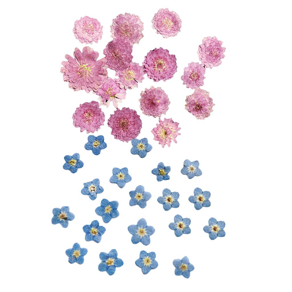20Pcs Pressed Dried Flower Dry Leaves for DIY Crafts Bookmark Cards Making