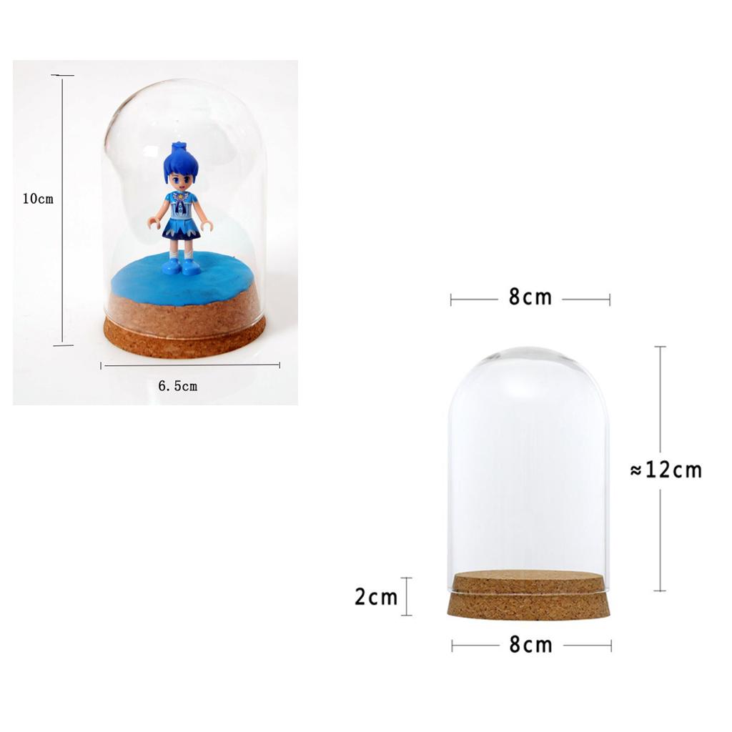 8x18&6.5x10cm Glass Cover Landscape Terrarium Container Lid Vase Bottle