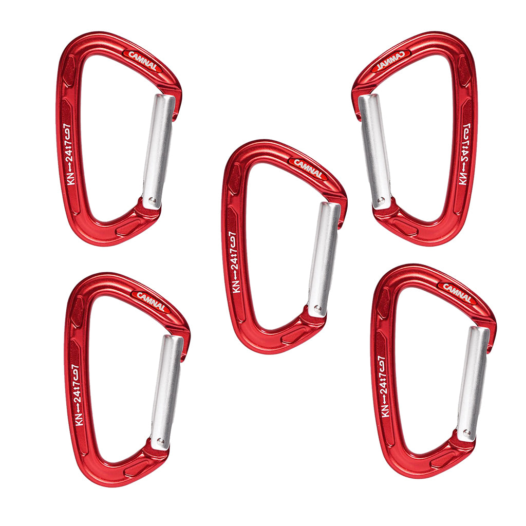 5Pcs Carabiner D-Ring Snap Clip Hook Buckle Keychain Keyring Hiking Climbing