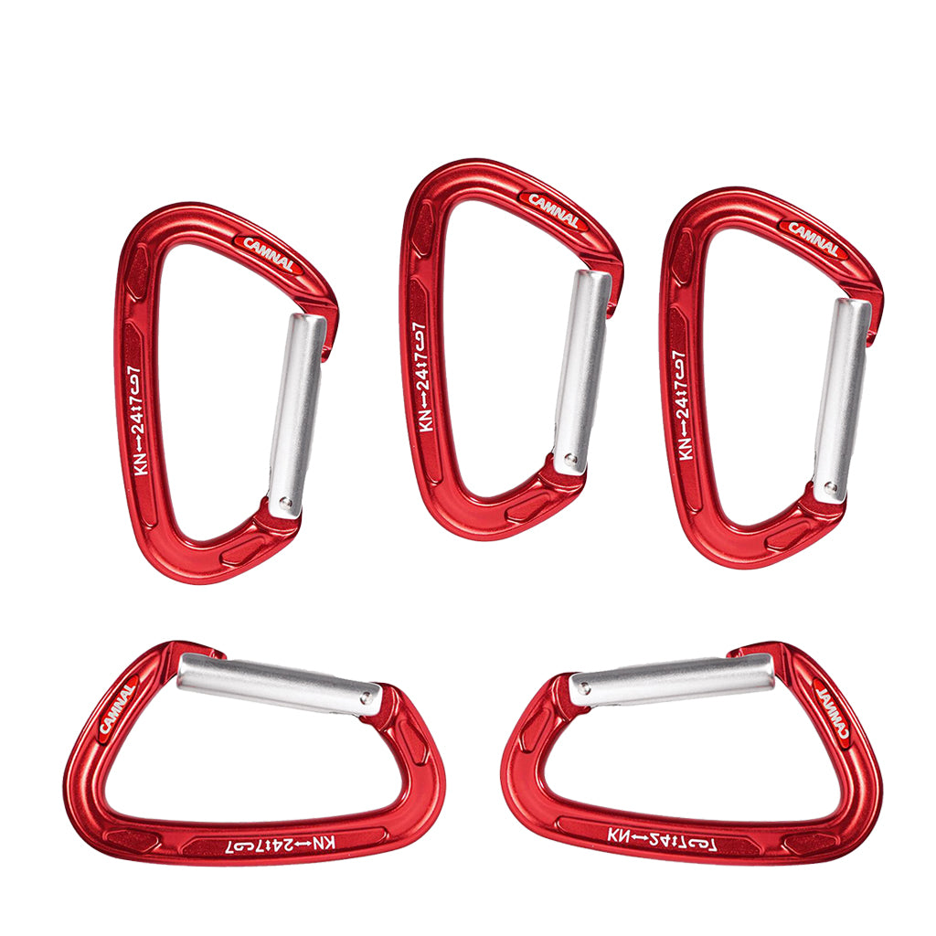5Pcs Carabiner D-Ring Snap Clip Hook Buckle Keychain Keyring Hiking Climbing