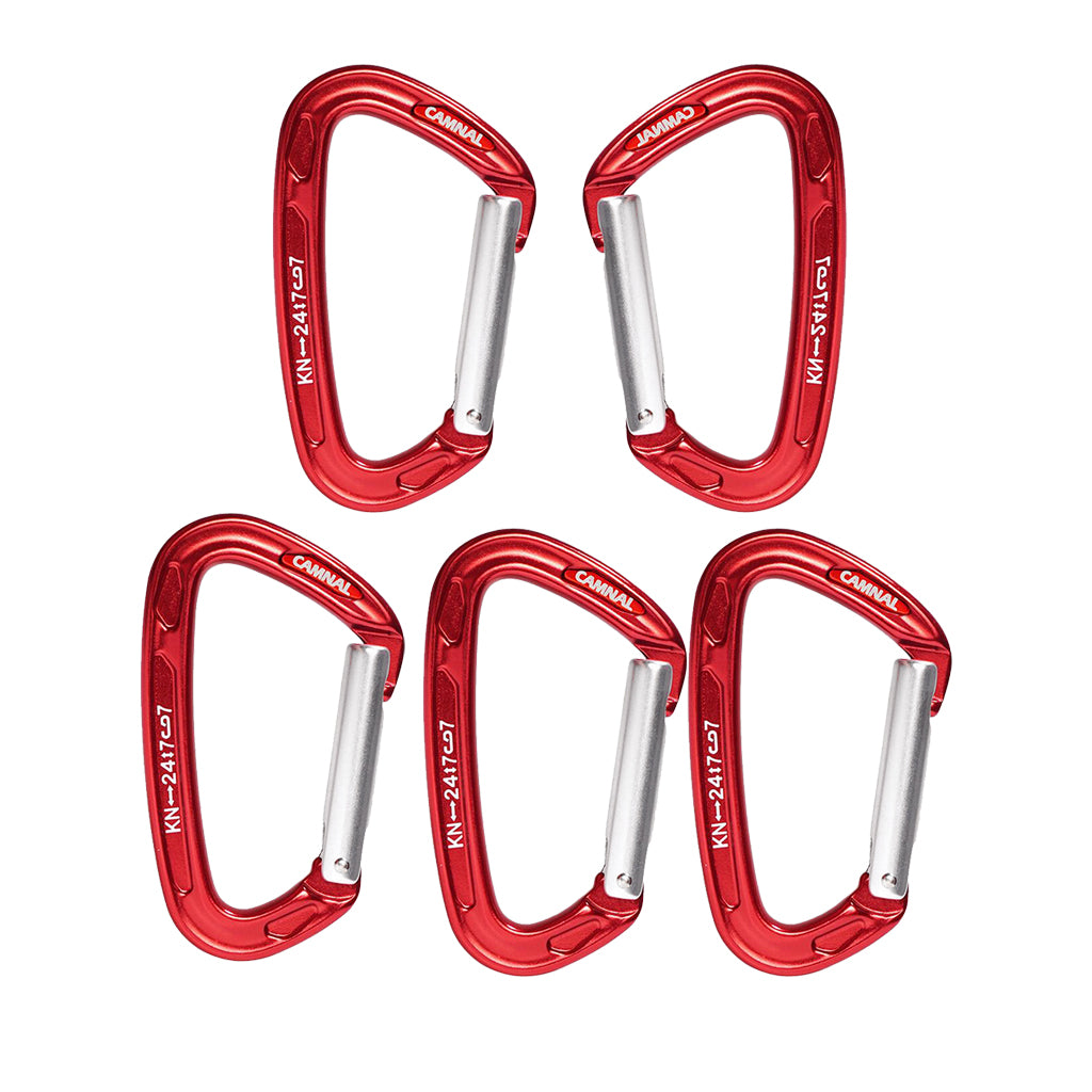 5Pcs Carabiner D-Ring Snap Clip Hook Buckle Keychain Keyring Hiking Climbing
