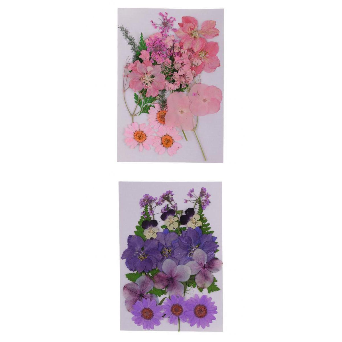2Pcs Multiple Natural Pressed Dried Flowers Leaves DIY Art Craft Decorations