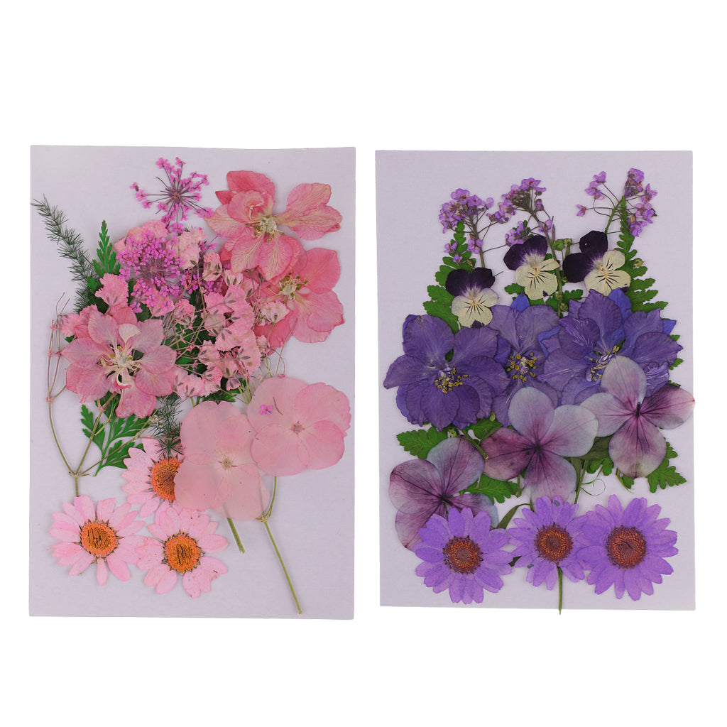 2Pcs Multiple Natural Pressed Dried Flowers Leaves DIY Art Craft Decorations