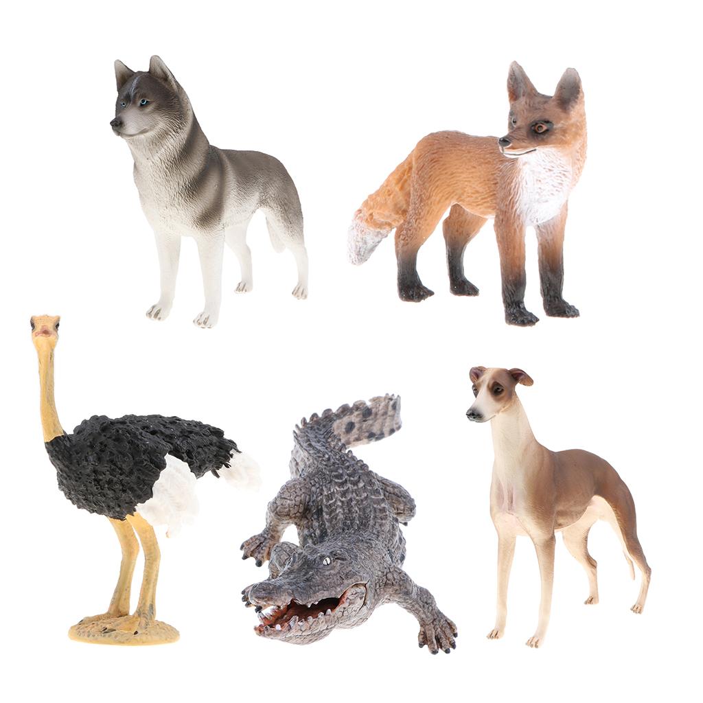 5 Pieces Realistic Animal Model Figurine Action Figures Kids Playset Toy 01