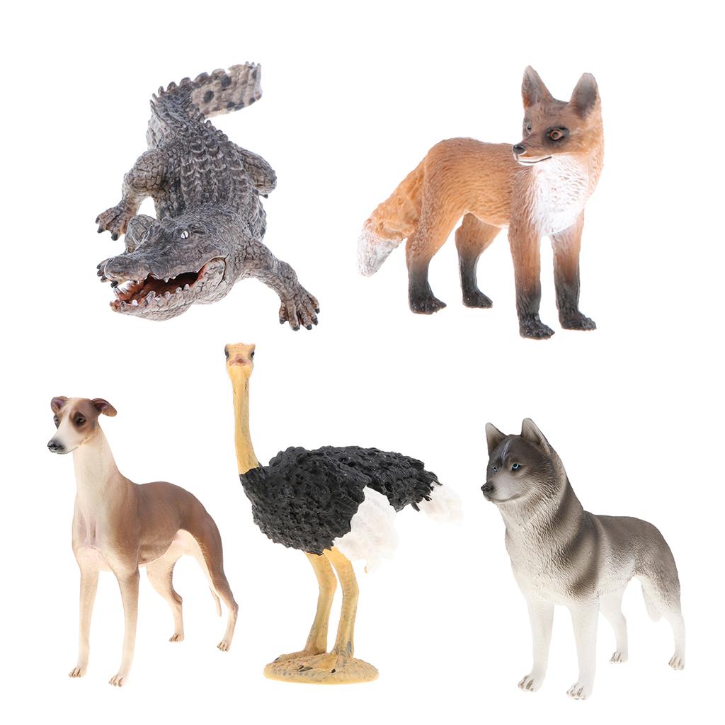 5 Pieces Realistic Animal Model Figurine Action Figures Kids Playset Toy 01