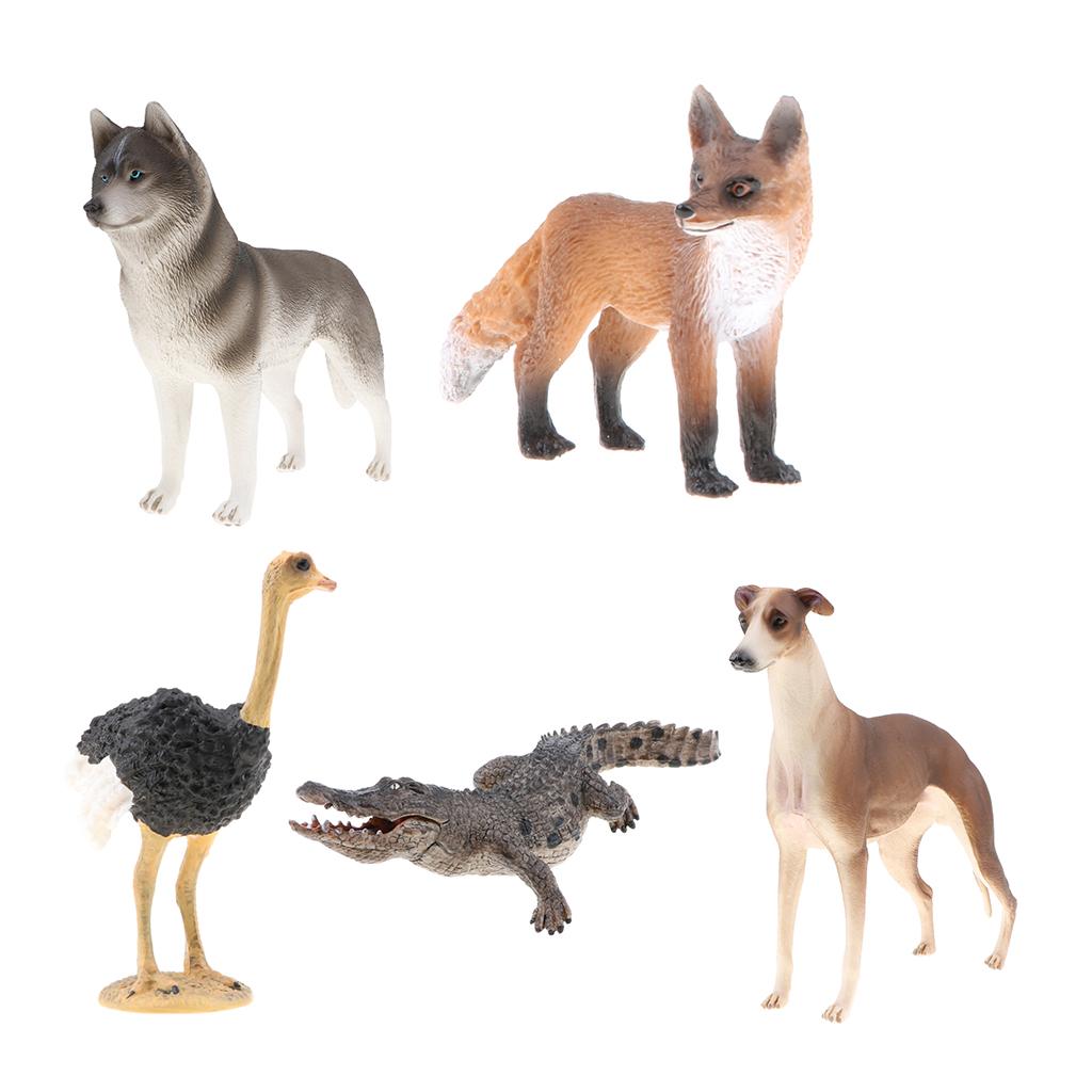 5 Pieces Realistic Animal Model Figurine Action Figures Kids Playset Toy 01