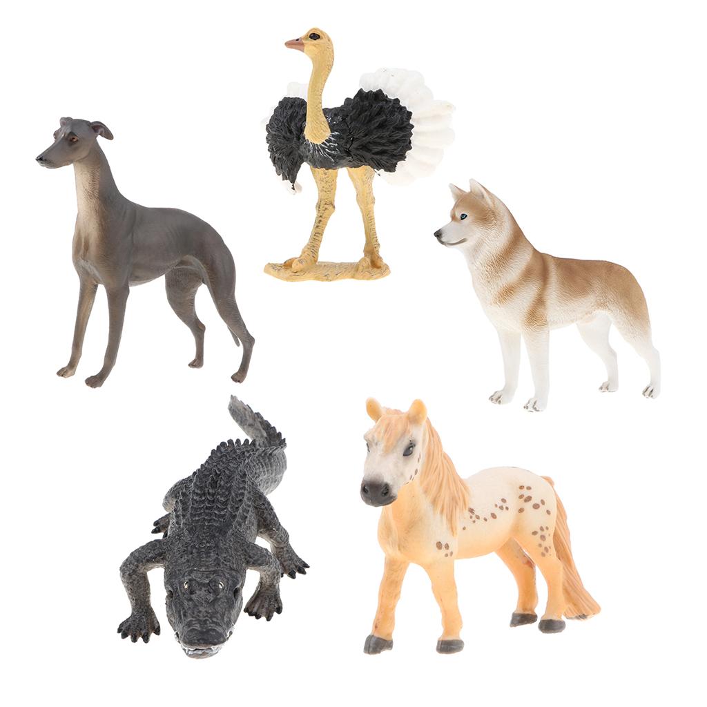 5 Pieces Realistic Animal Model Figurine Action Figures Kids Playset Toy 02