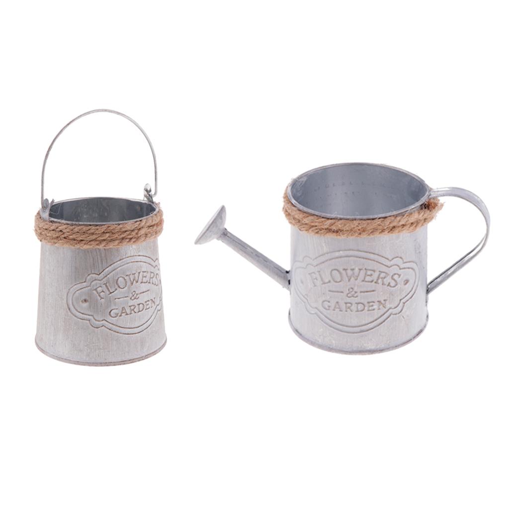 2pack Creative Metal Home Decor Bucket for Gardening or Floral Arrangements
