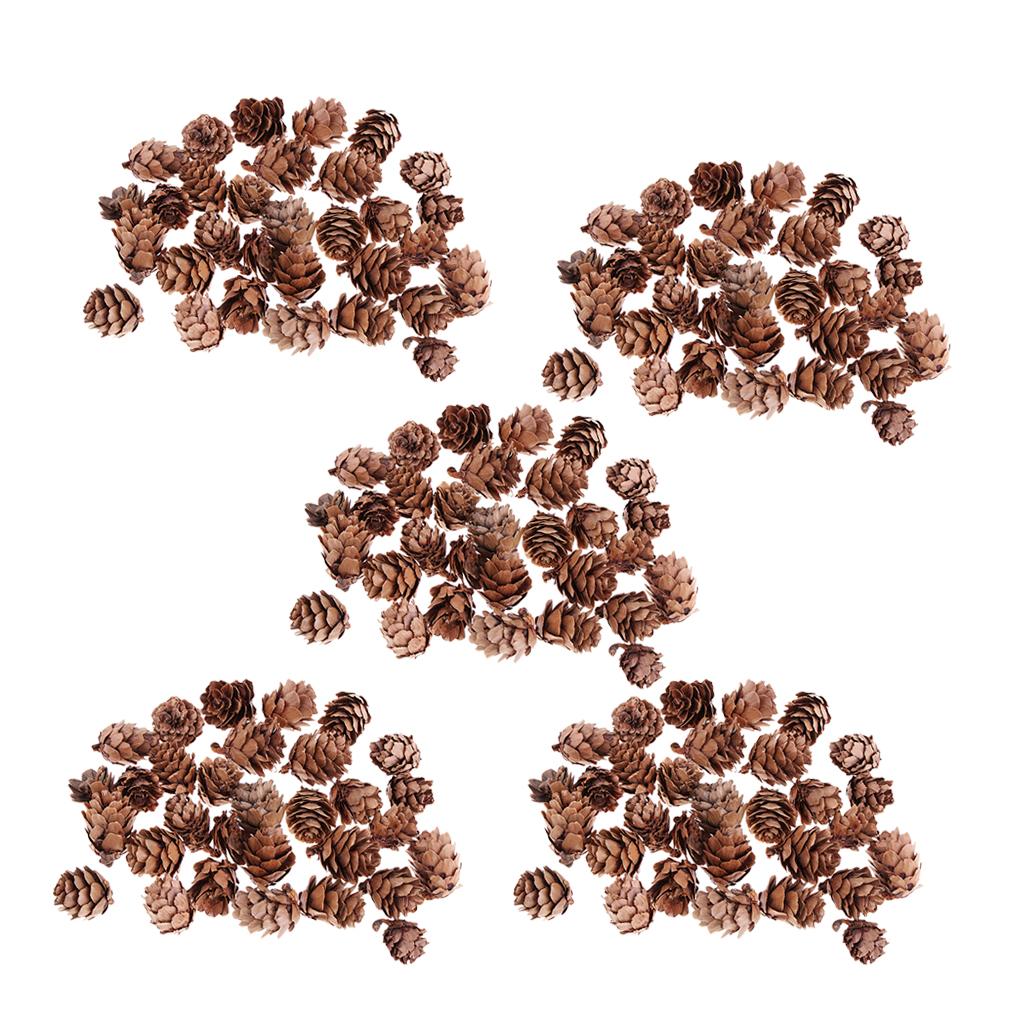 150Pcs Real Natural Small Pine Cones in Bulk for Accents Decoration Ornament
