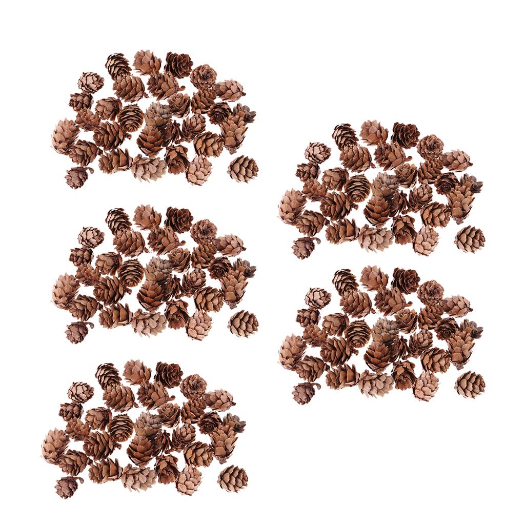 150Pcs Real Natural Small Pine Cones in Bulk for Accents Decoration Ornament