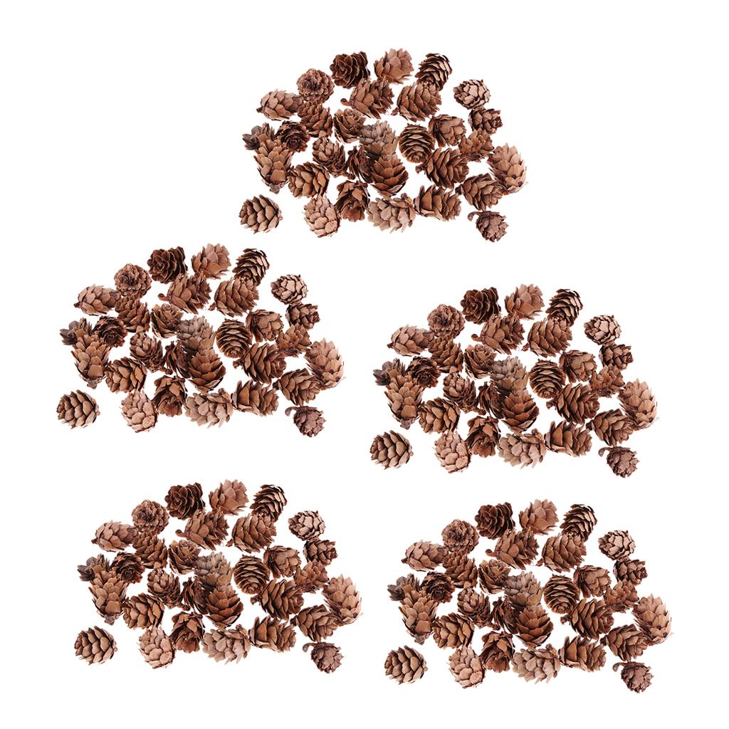 150Pcs Real Natural Small Pine Cones in Bulk for Accents Decoration Ornament