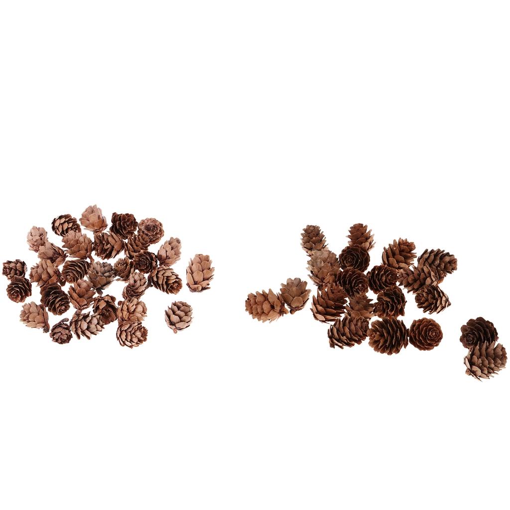 20 Pieces Big Pine Cones 2.5CM,3CM, 30 Pieces Small Pine Cones 1CM,1.5CM