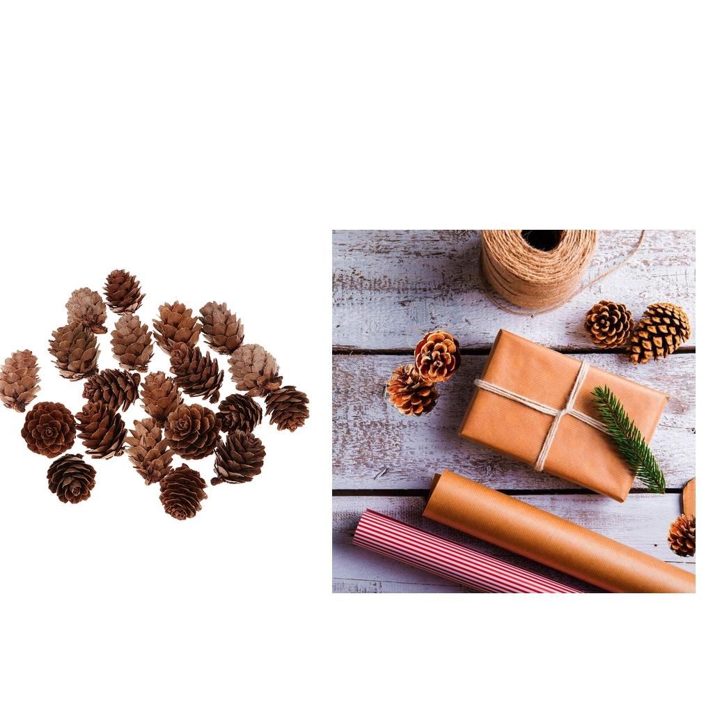 20 Pieces Big Pine Cones 2.5CM,3CM, 30 Pieces Small Pine Cones 1CM,1.5CM