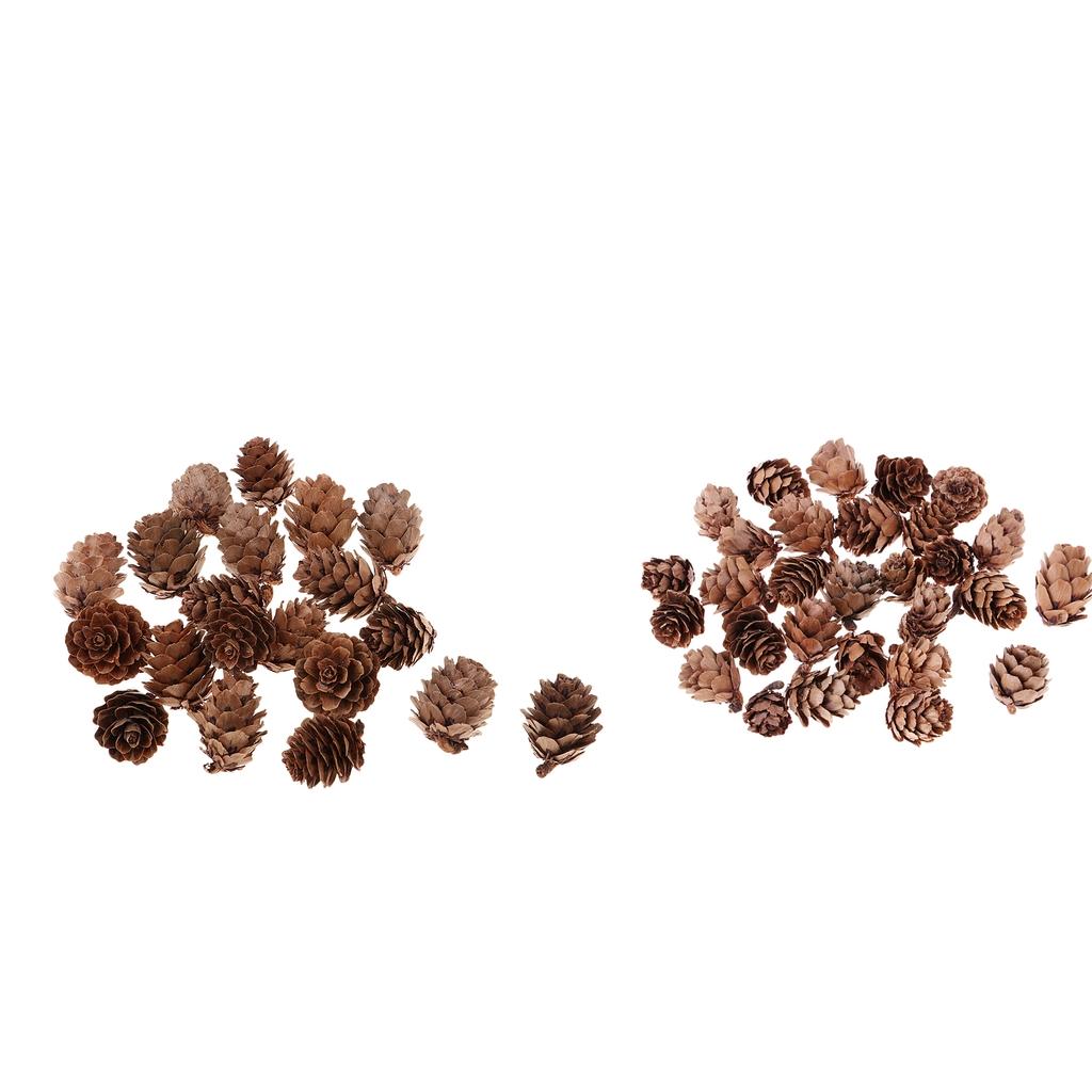 20 Pieces Big Pine Cones 2.5CM,3CM, 30 Pieces Small Pine Cones 1CM,1.5CM