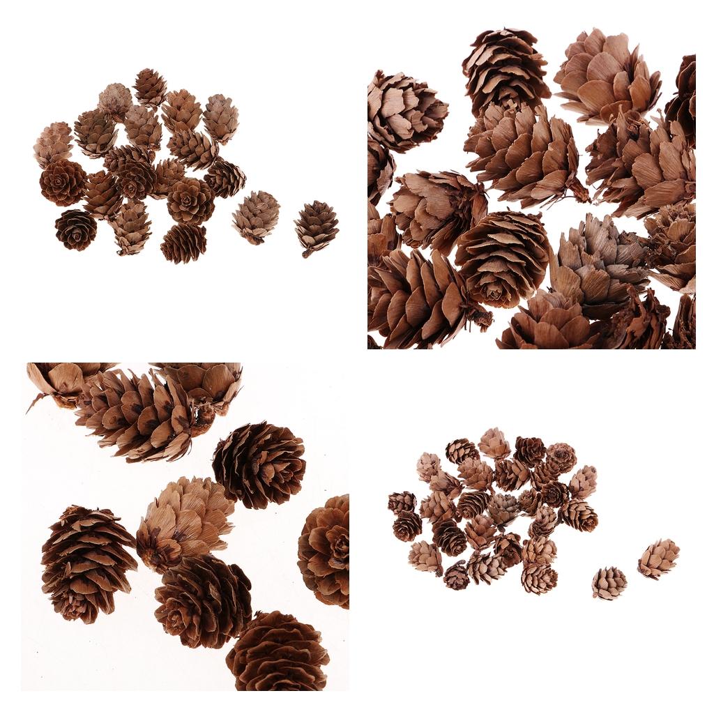 100Pcs Real Natural Small Pine Cones in Bulk for Accents Decoration Ornament
