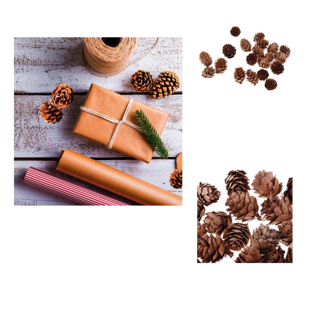100Pcs Real Natural Small Pine Cones in Bulk for Accents Decoration Ornament