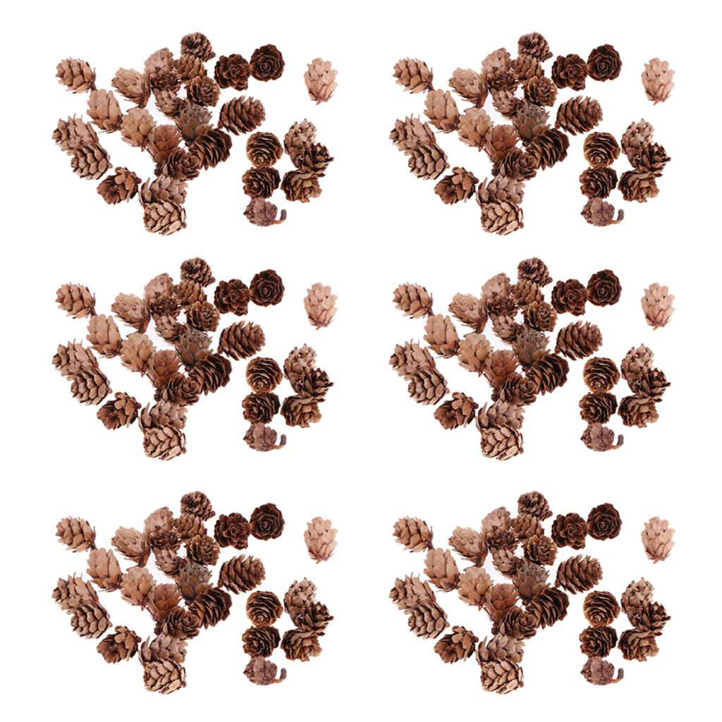 180Pcs Real Natural Small Pine Cones in Bulk for Accents Decoration Ornament