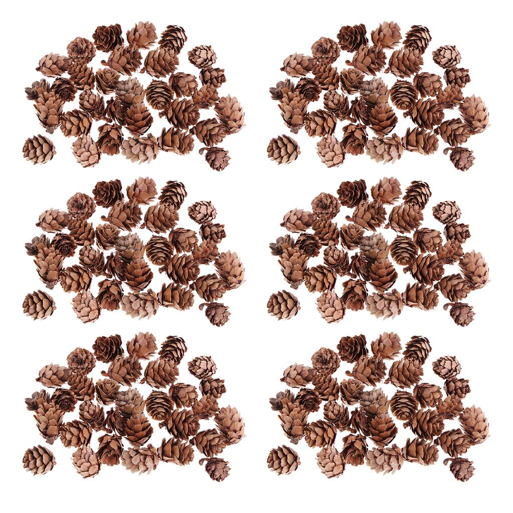 180Pcs Real Natural Small Pine Cones in Bulk for Accents Decoration Ornament